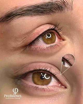 اموزش میکروبلیدینگ اصفهان 