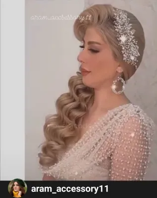 آرام اکسسوری شینیون&nbsp; مو &nbsp; ARAM UPDO HAIR ACCESSORIES
