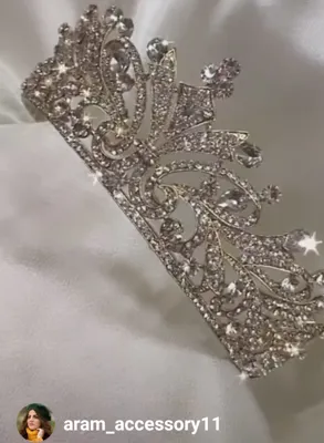 آرام اکسسوری شینیون&nbsp; مو &nbsp; ARAM UPDO HAIR ACCESSORIES