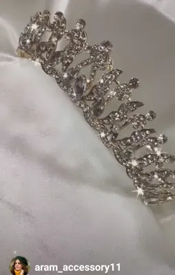 آرام اکسسوری شینیون&nbsp; مو &nbsp; ARAM UPDO HAIR ACCESSORIES