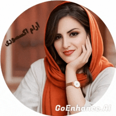 آرام اکسسوری شینیون  مو   ARAM UPDO HAIR ACCESSORIES