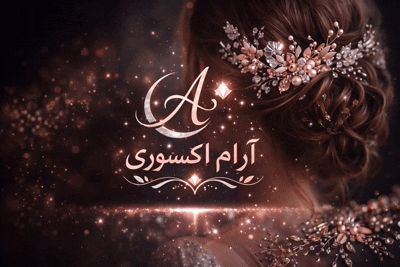 آرام اکسسوری شینیون&nbsp; مو &nbsp; ARAM UPDO HAIR ACCESSORIES