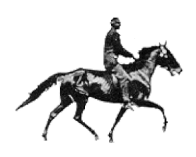 آموزش اسب سواری شیراز