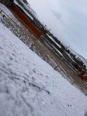 محیط زمستانی