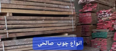 چوب راش بلند صالحی