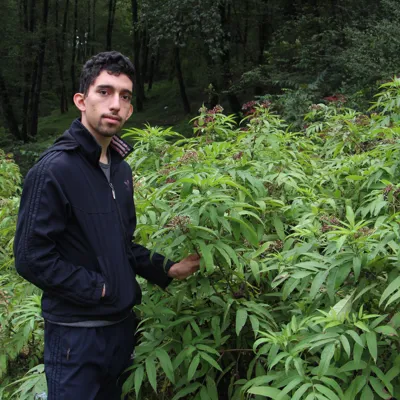 محمد محمد امینی