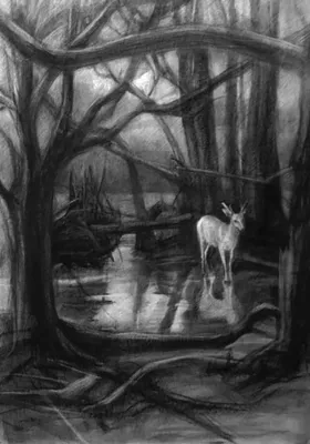 آهوی تنهادردل جنگل