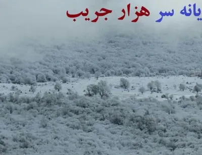 بهترین روستا هزارجریب