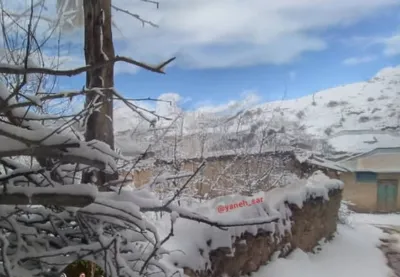 بهترین روستا هزارجریب