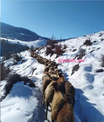 بهترین روستا هزارجریب