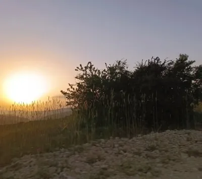 ارتفاع یانه سر