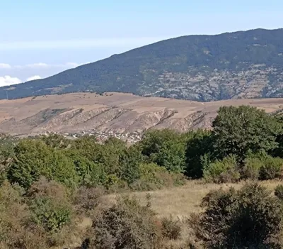 ارتفاع یانه سر