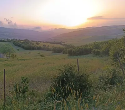 ارتفاع یانه سر