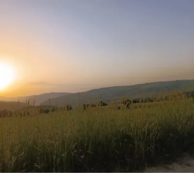 ارتفاع یانه سر