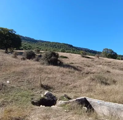 ارتفاع یانه سر