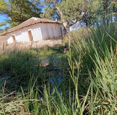 ارتفاع یانه سر