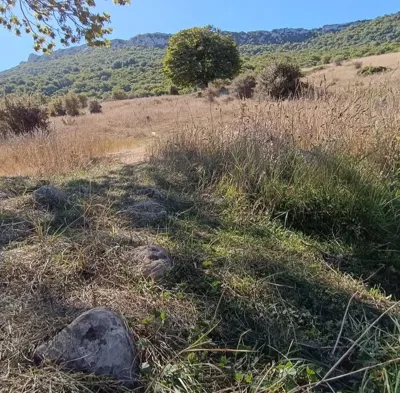 ارتفاع یانه سر