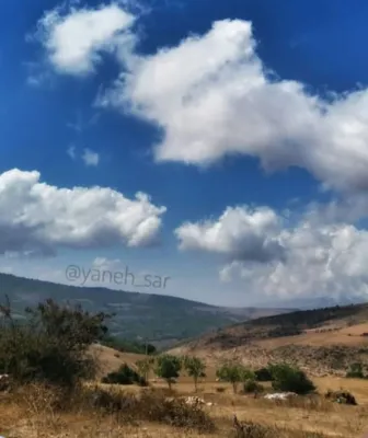 ارتفاع یانه سر