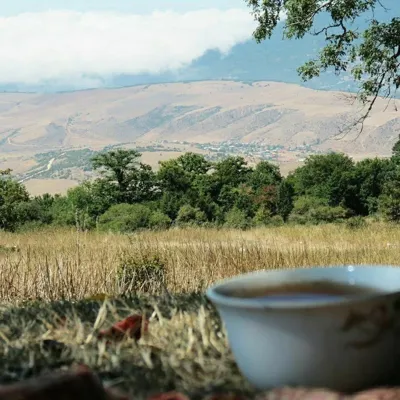 ارتفاع یانه سر