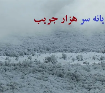 یانه سر هزارجریب