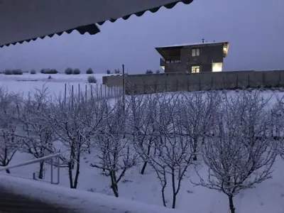 یانه سر هزارجریب