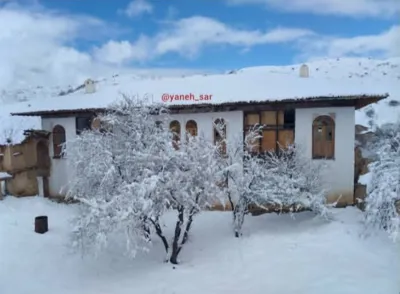 یانه سر هزارجریب