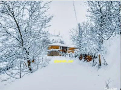 یانه سر هزارجریب