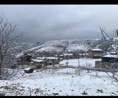 یانه سر هزارجریب