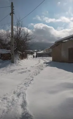 یانه سر هزارجریب