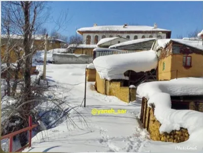 یانه سر هزارجریب