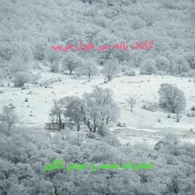 یانه سر هزارجریب