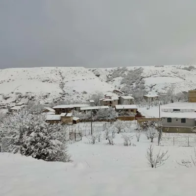 یانه سر هزارجریب