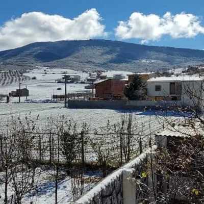 یانه سر هزارجریب