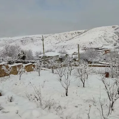 یانه سر هزارجریب