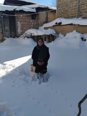 یانه سر هزارجریب