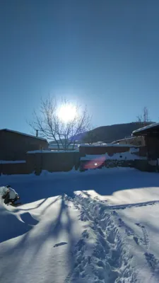 یانه سر هزارجریب