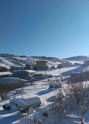 یانه سر هزارجریب