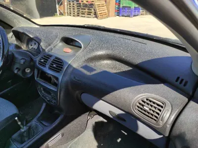 تعمیر داشبورد دیگنینی