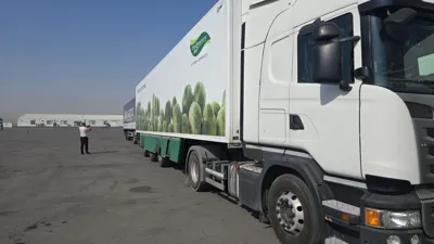 خرید و فروش عمده کالای ایلیا