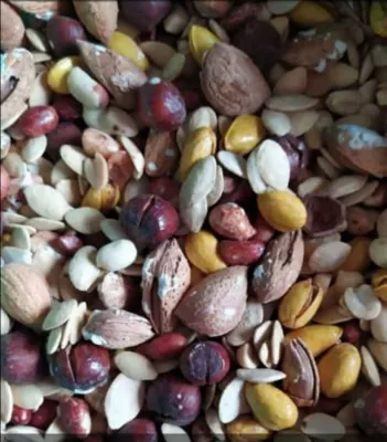 خرید و فروش عمده کالای ایلیا