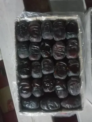 خرید و فروش عمده کالای ایلیا