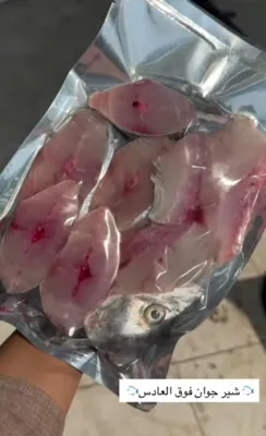 خرید و فروش عمده کالای ایلیا