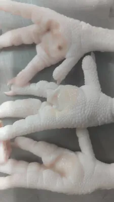 خرید و فروش عمده کالای ایلیا