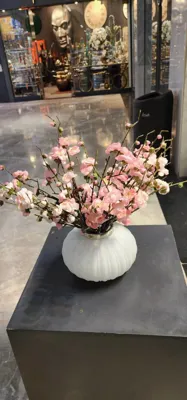 گل سرای لیزا