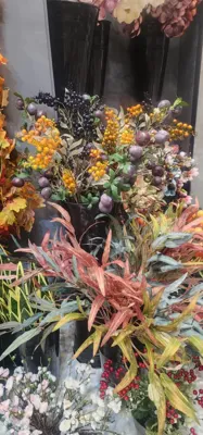 گل سرای لیزا