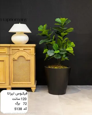 بهترین گل فروشی در شوش