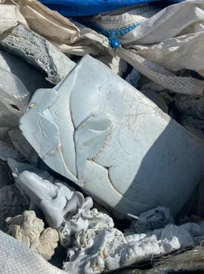 قیمت نخ درجات