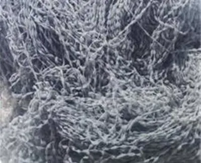 قیمت نخ های پلی استر