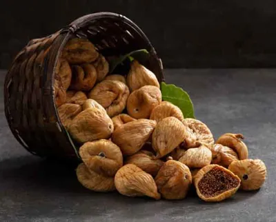 میثم شیبانیان