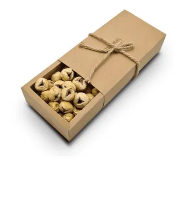 میثم شیبانیان